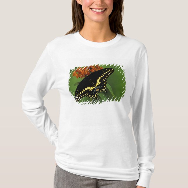 Michigan, Rochester. American Eastern Black T-Shirt (Front)