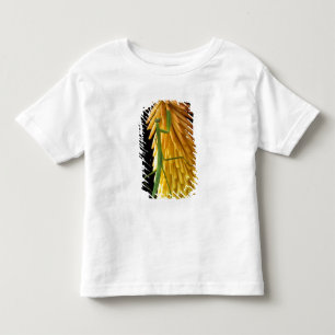 Michigan, Rochester Hills. Praying Mantis on Red Toddler T-Shirt
