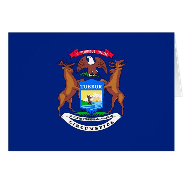 Michigan State Flag Design (Front Horizontal)