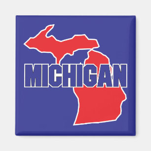 Michigan State Magnet