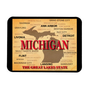 Michigan State Pride Map Silhouette Magnet