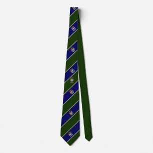 Michigan stripes flag tie
