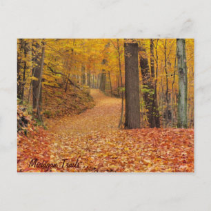 Michigan Trails Postcard