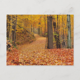 Michigan Trails Postcard