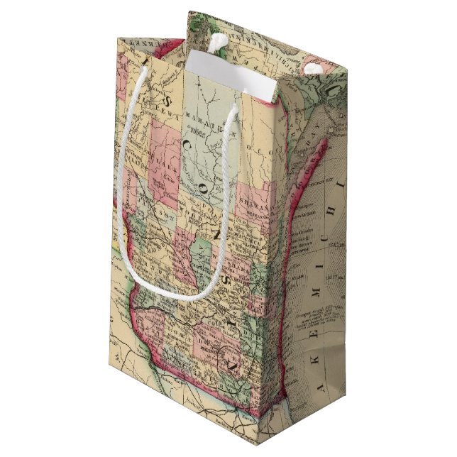 Michigan, Wisconsin Map by Mitchell Small Gift Bag (Back Angled)
