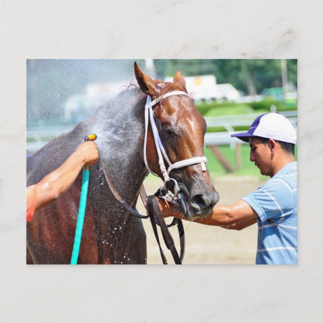 Michonne Postcard (Front)