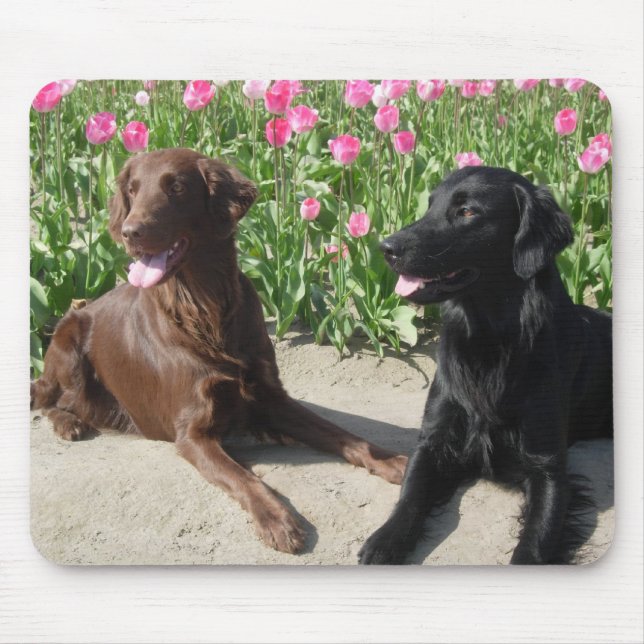 Mick & Patsy in the tulips 011 Mouse Pad (Front)