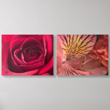 Micro Flower Photography – Detailed Close-Up Flora