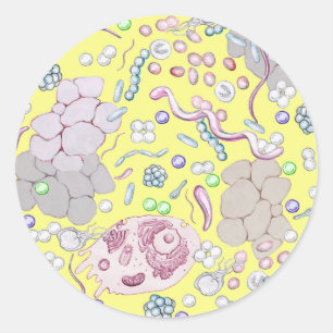 Microbiology In Yellow Classic Round Sticker