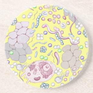 Microbiology In Yellow Coaster
