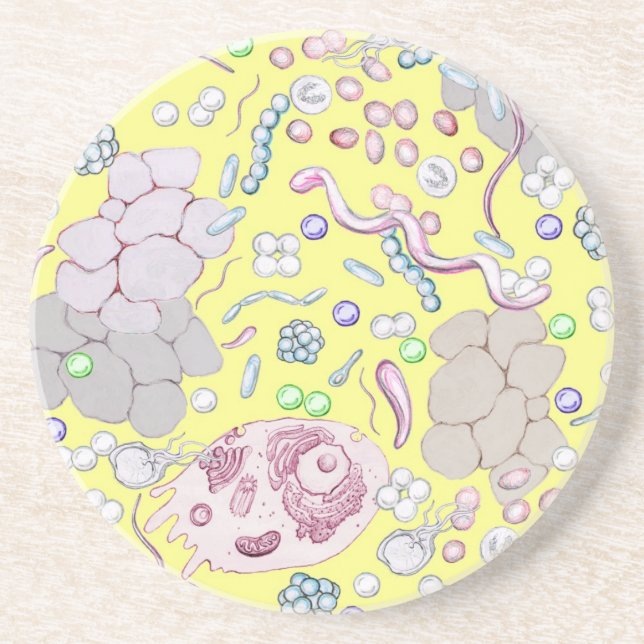 Microbiology In Yellow Coaster (Front)