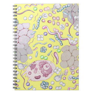 Microbiology In Yellow Spiral Notebook