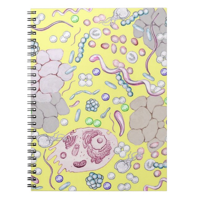 Microbiology In Yellow Spiral Notebook (Front)
