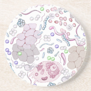 Microbiology Pattern Coaster
