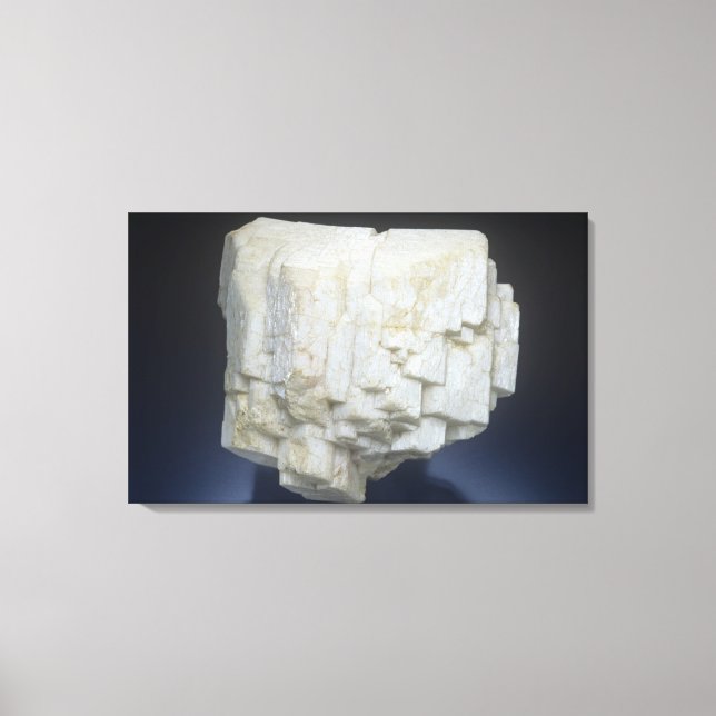 Microcline Canvas Print (Front)