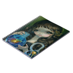 "Microcosm:  Galaxy" Notebook