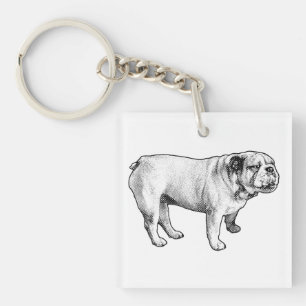 microdot poise, bulldog key ring