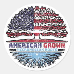 Micronesia Micronesian US American USA United Classic Round Sticker