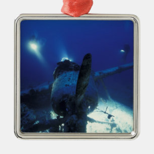 Micronesia, Palau, World Heritage Site. Divers Metal Tree Decoration
