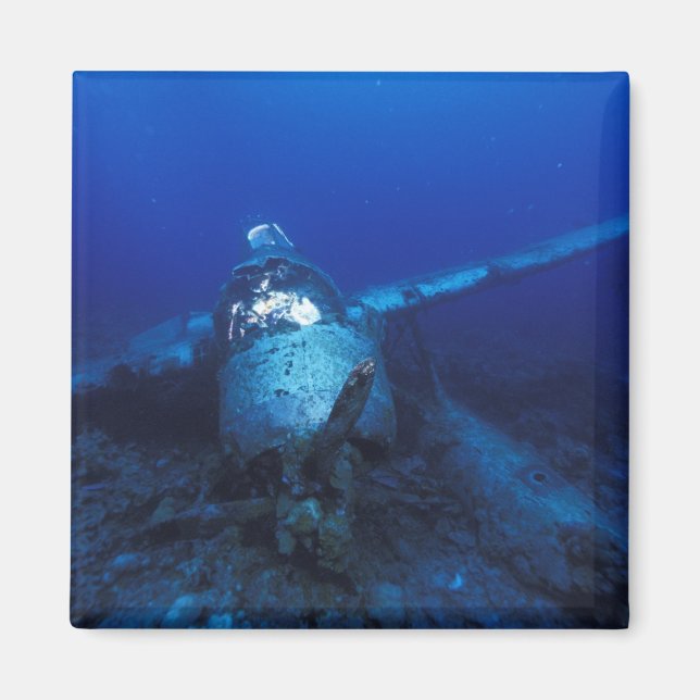 Micronesia, Palau, World Heritage Site. WWII Magnet (Front)