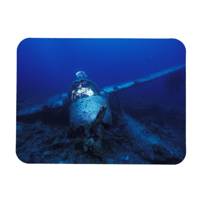 Micronesia, Palau, World Heritage Site. WWII Magnet (Horizontal)