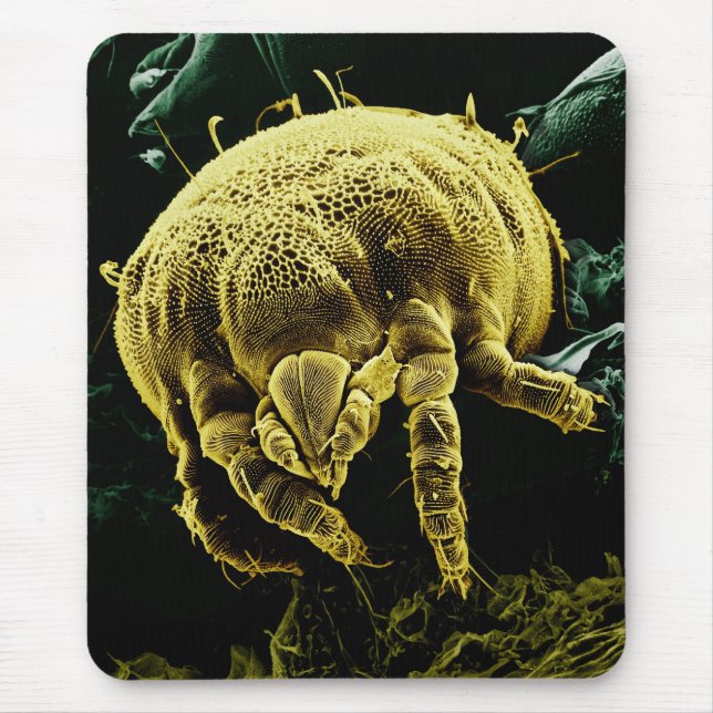 Microscopic Arthropod Acari Mite Lorryia Formosa Mouse Pad (Front)