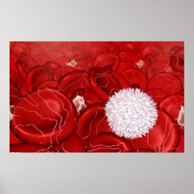 Microscopic look at blood cells poster (Front)