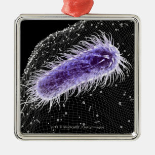 Microscopic view of a helicobacter pylori cell metal tree decoration