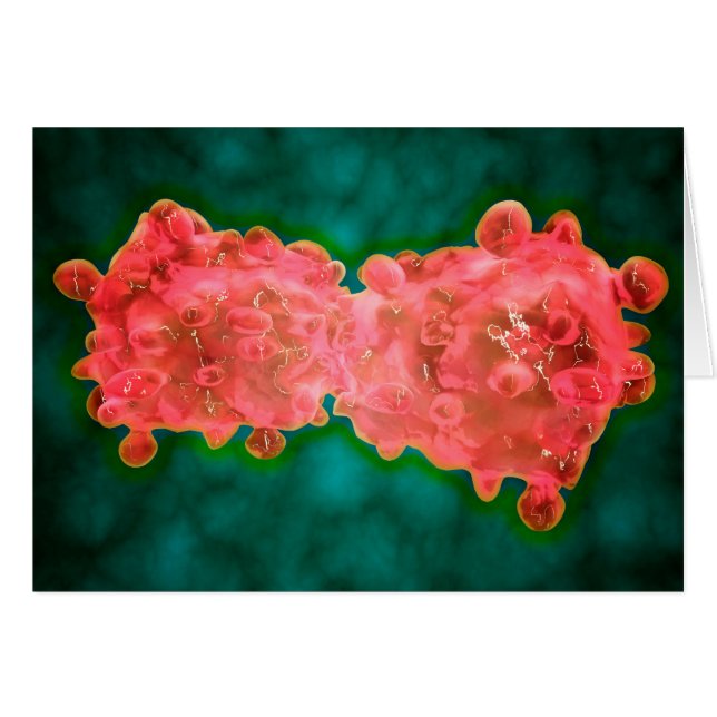 Microscopic View Of A Leukaemia Cell (Front Horizontal)