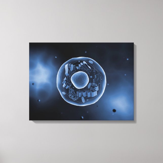 Microscopic View Of Animal Cell 3 Canvas Print (Front)