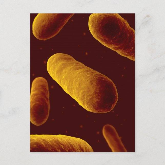 Microscopic View Of Bacteria 3 Postcard (Front)