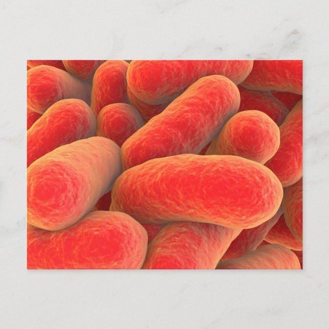 Microscopic View Of Bacteria 4 Postcard (Front)