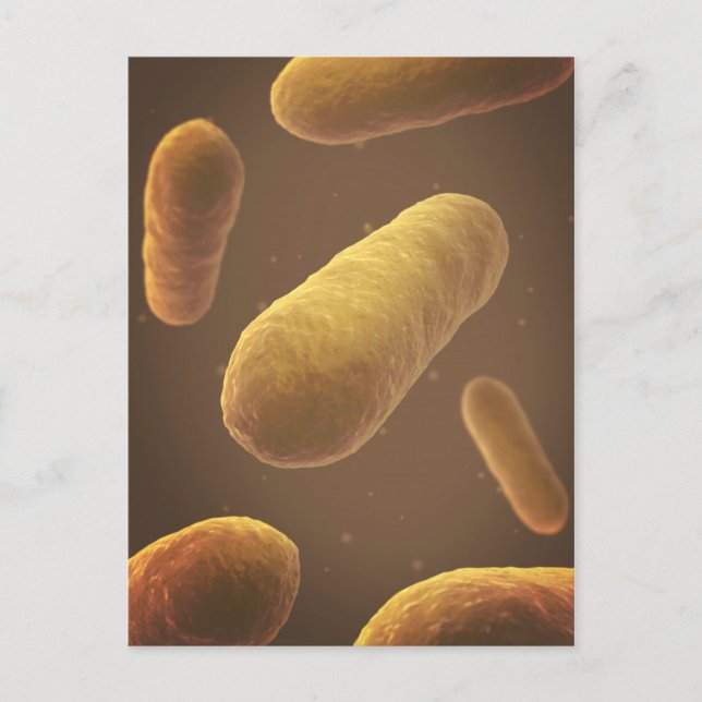 Microscopic View Of Bacteria 5 Postcard (Front)