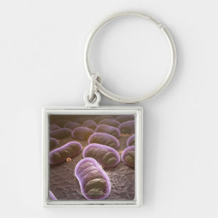 Microscopic view of bacteria key ring