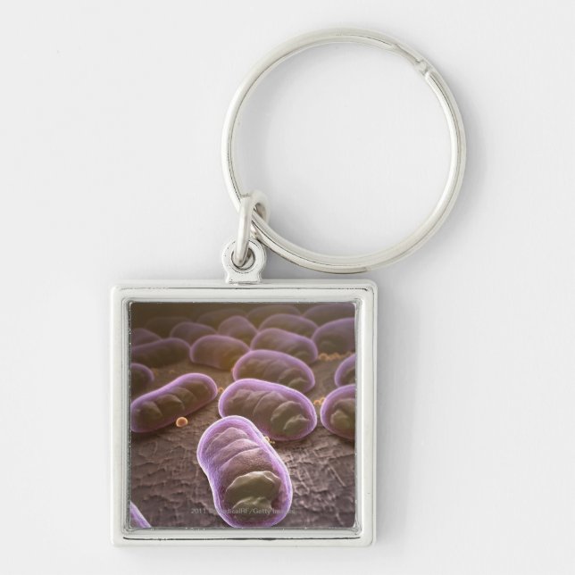 Microscopic view of bacteria key ring (Front)