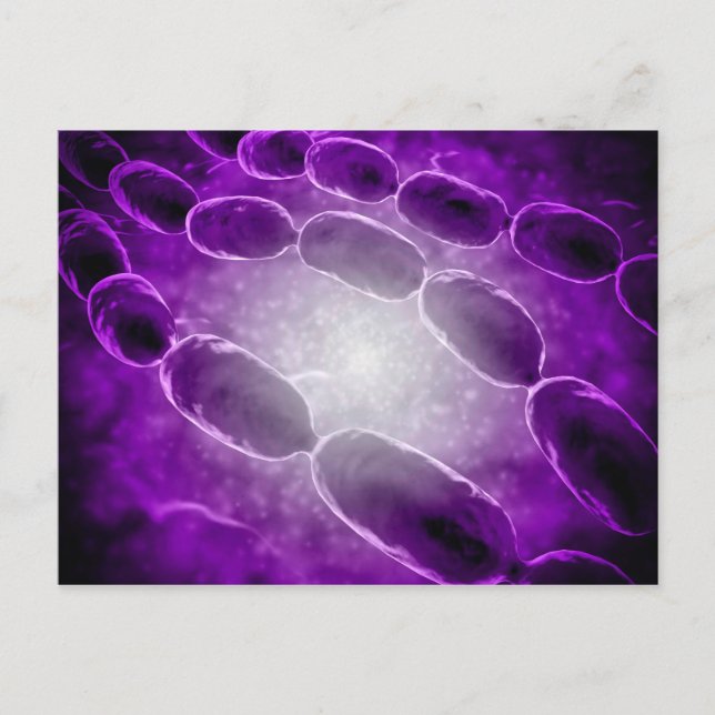 Microscopic View Of Bacterial Pneumonia 2 Postcard (Front)