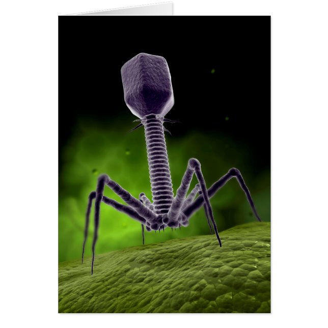 Microscopic View Of Bacteriophage (Front)