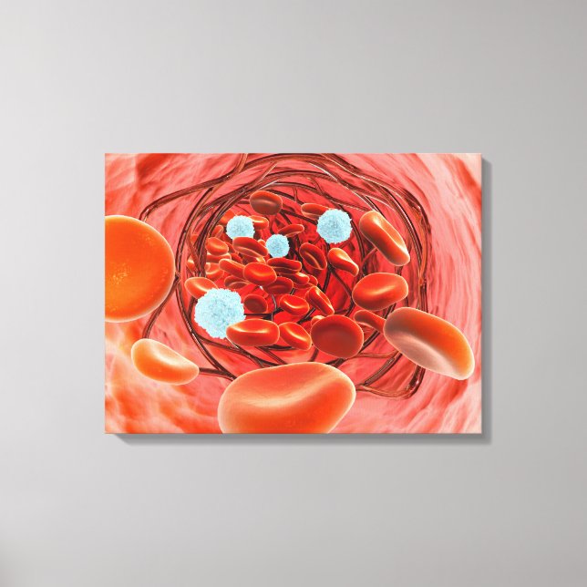 Microscopic View Of Blood Flow Inside An Artery Canvas Print (Front)
