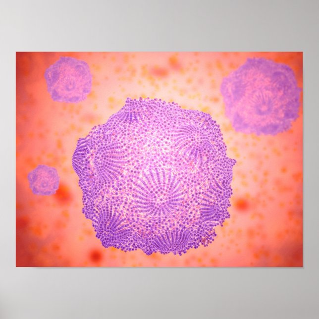 Microscopic View Of Canine Parvovirus 2 Poster (Front)