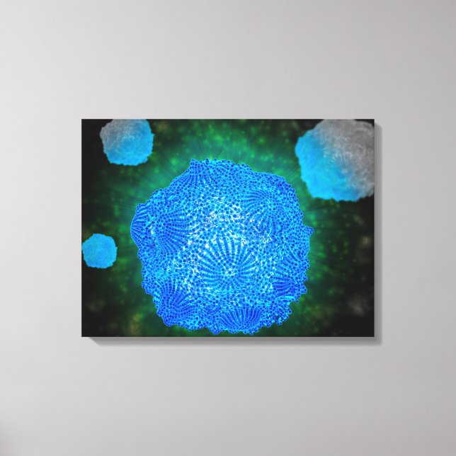 Microscopic View Of Canine Parvovirus 3 Canvas Print (Front)