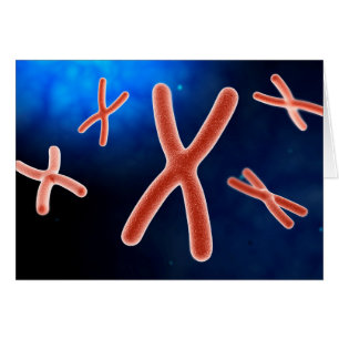Microscopic View Of Chromosome 1