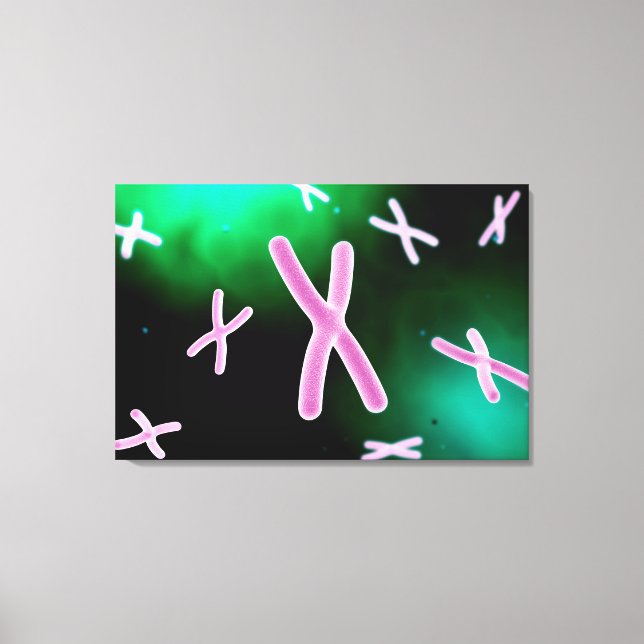 Microscopic View Of Chromosome 2 Canvas Print (Front)