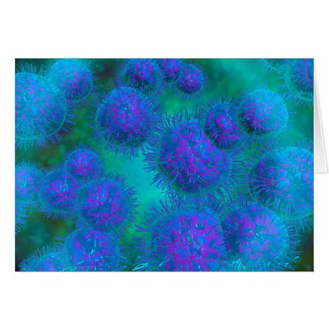 Microscopic View Of Diplococcus Bacterium (Front Horizontal)