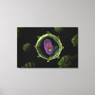 Microscopic View Of HIV Virus, Cross Section Canvas Print