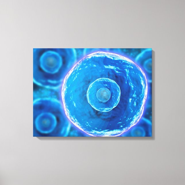 Microscopic View Of Human B-Cells 1 Canvas Print (Front)