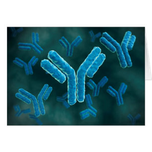 Microscopic View Of Immunoglobulin G Molecules.