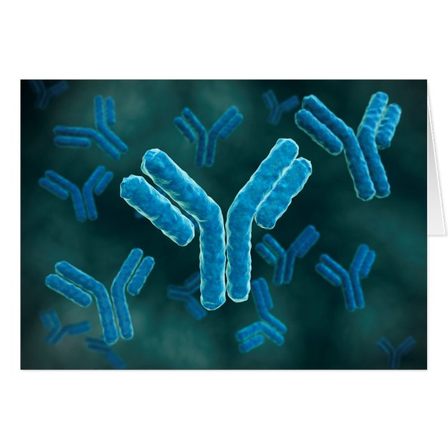 Microscopic View Of Immunoglobulin G Molecules. (Front Horizontal)