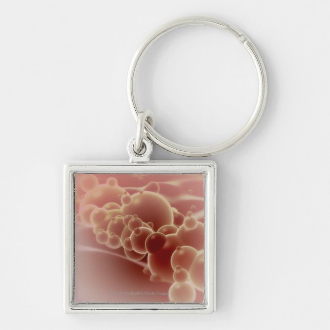 Microscopic view of latex microspheres key ring (Front)