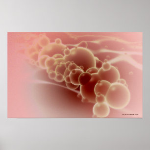 Microscopic view of latex microspheres poster