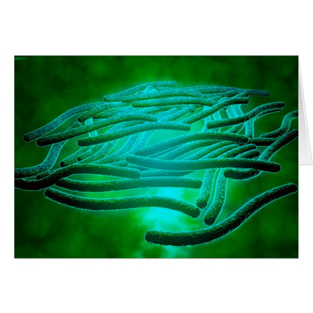 Microscopic View Of Legionella Pneumophila 1 (Front Horizontal)